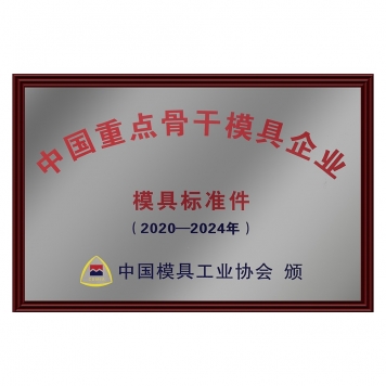 重點(diǎn)骨干